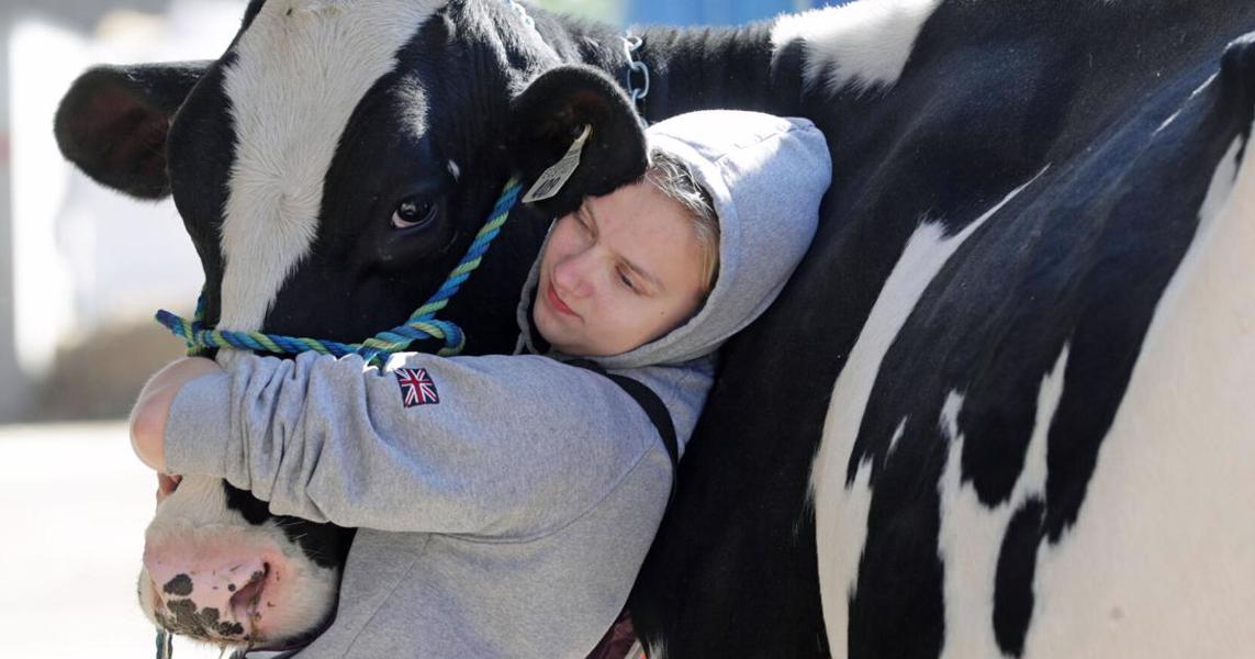 world dairy expo world dairy expo