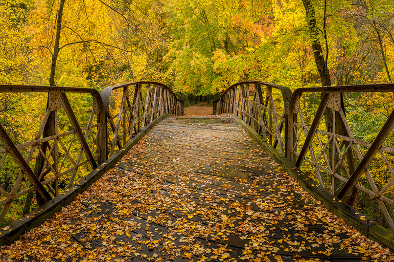 The Best Places To See Fall Colors In California