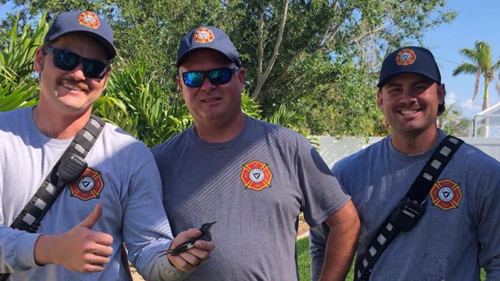 Cape Coral firefighters fight to save baby bird