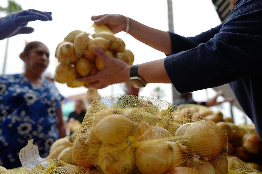 Photo Gallery Texas Onion Festival