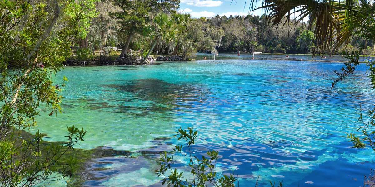 ocala-is-the-gorgeous-adventure-filled-florida-town-you-ve-never-heard-of