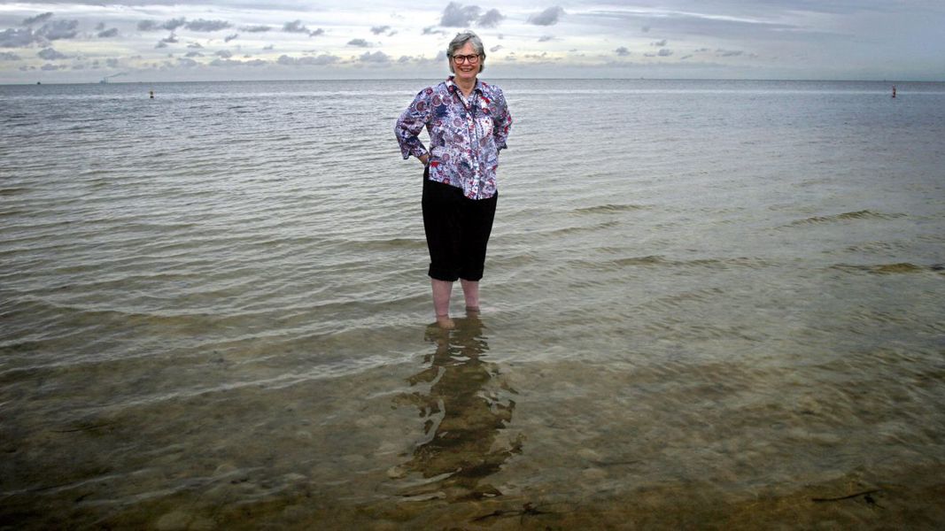 Groundbreaking Red Tide Researcher Who Lived In Tampa Bay Dies At 84 groundbreaking-red-tide-researcher-who-lived-in-tampa-bay-dies-at-84